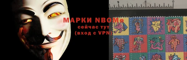 молекула духа Вяземский