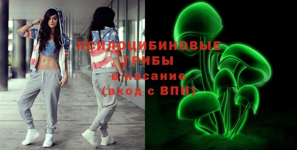 соль ск Вязники